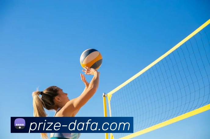 大发官网发展历程